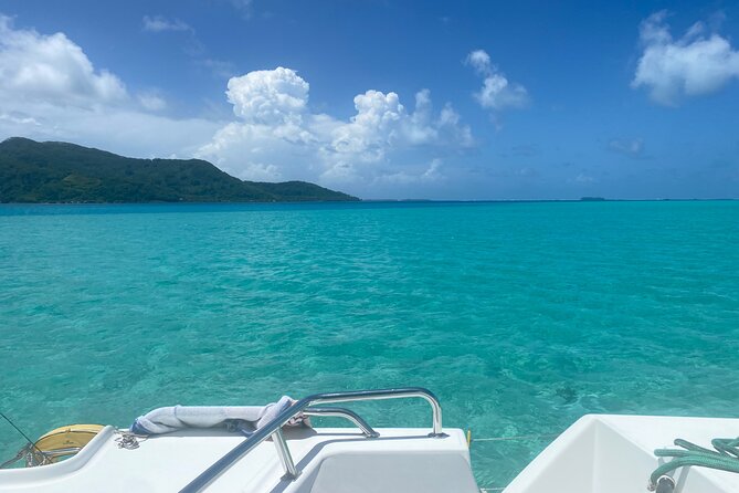 One Day Cruise and Catamaran Excursion - Tips for a Memorable Experience