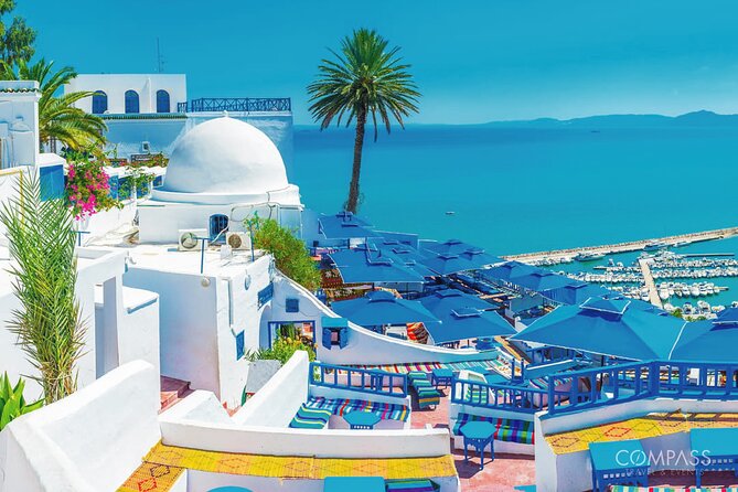 One Day in Tunis : Carthage, Sidi Bou Said, Bardo Museum & Medina - Bardo Museum - Rich Collection of Artifacts