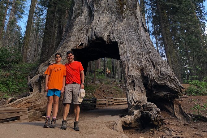 One Day In Yosemite Private Tour:Yosemite Valley, Glacier Point & Giant Sequoias - Tour Information and Guidelines