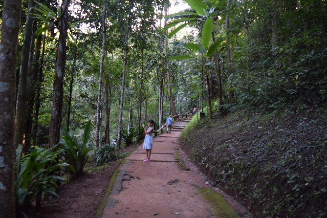 One Day Long Neck Hill Tribe - Waterfall - Hot Spring (Private Tour) - Itinerary