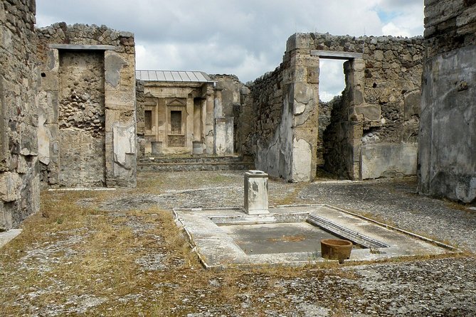 One Day Private Tour to Pompeii And/Or Herculaneum and Stop at the Winery - Reviews and Support