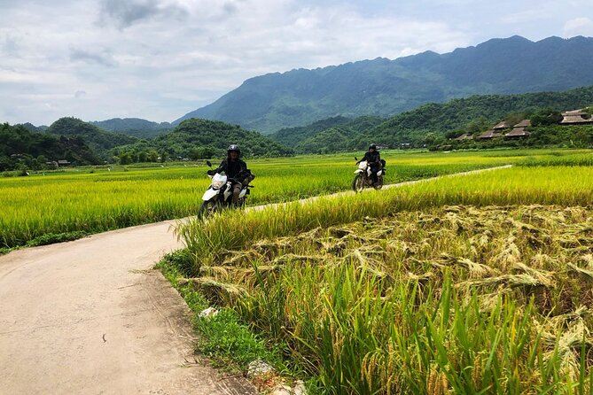 One Day Pu Luong Remote Villages Tour and Waterfall Water Wheels - Common Questions