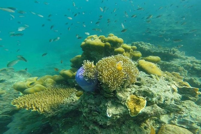 Oneday Tour 4 Islands and Emerald Cave by Tin Adventure Sea Tour From Koh Lanta - Cancellation Policy
