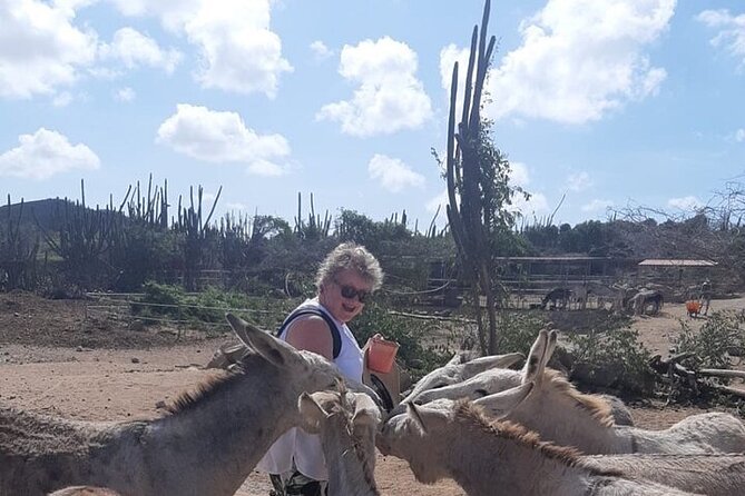 Oranjestad Full Day Cultural Tour - Itinerary and Activities