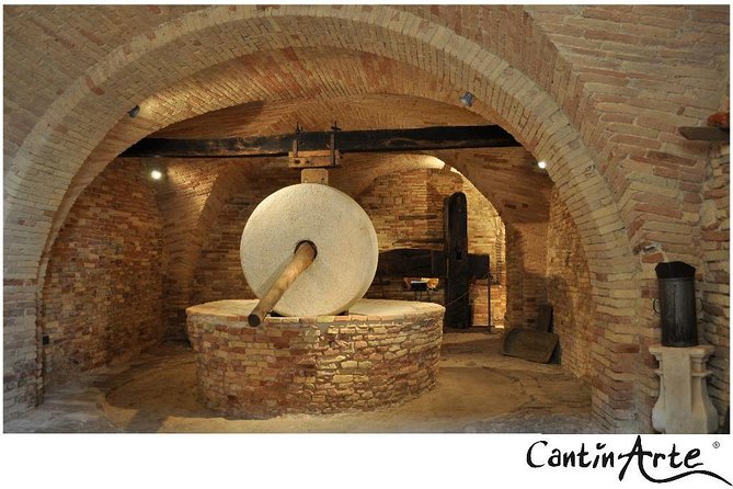 Organic Wine Tasting & Professional Tasting of Olive Oil in the OIL MUSEUM - Activity Details