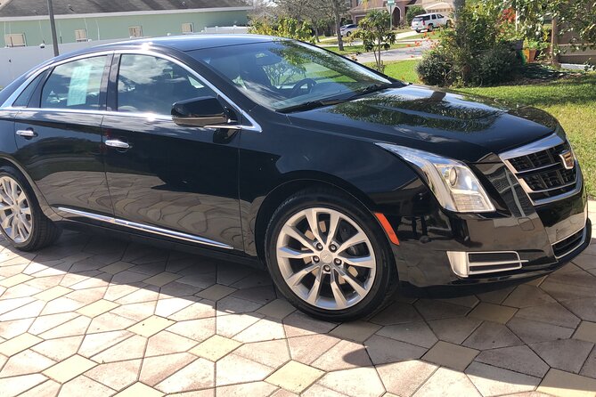Orlando Airport MCO to Port Canaveral Luxury Sedan - Inclusions and Fees