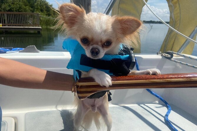 Orlando: Lake Fairview Private Family-Friendly Sailboat Trip - Additional Information and Restrictions