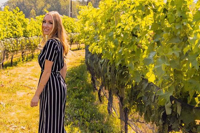 Osoyoos & Oliver Sip Disturber Half Day Wine Tour - Included Amenities