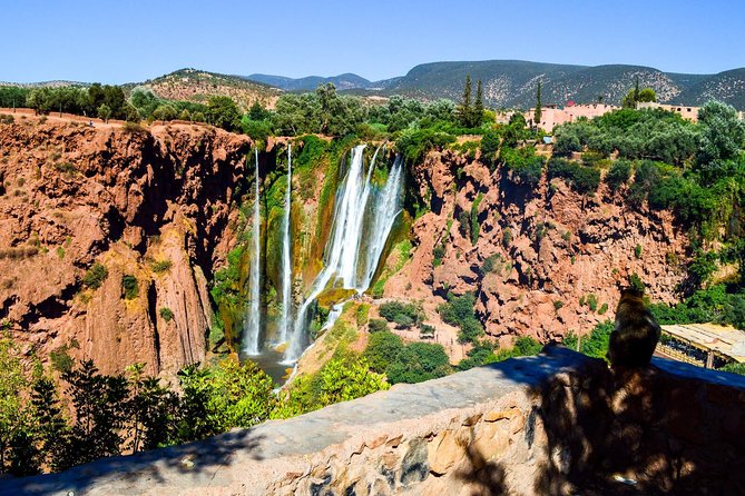 Ouzoud Waterfalls From Marrakech With Boat Ride - Common Questions