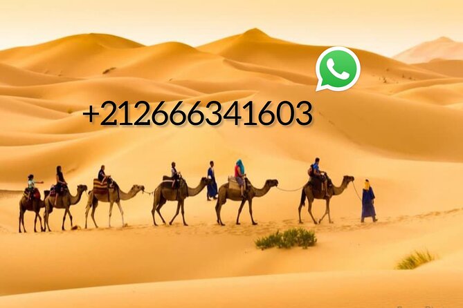 Overnight Camel Trek Over Erg Chebbi Dunes Merzouga - Overview