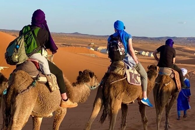 Overnight Stay in Desert Camp & Camel Trekking - Overview of the Experience