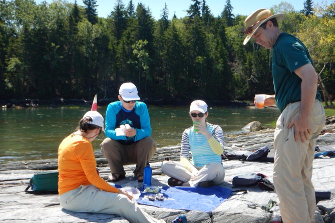 Oyster Farm & Complimentary Tasting Sea Kayak Tour in Casco Bay - Tour Information