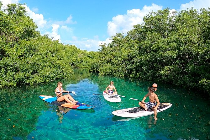 Paddle and Snorkel in Cenote - Riviera Maya - Reviews
