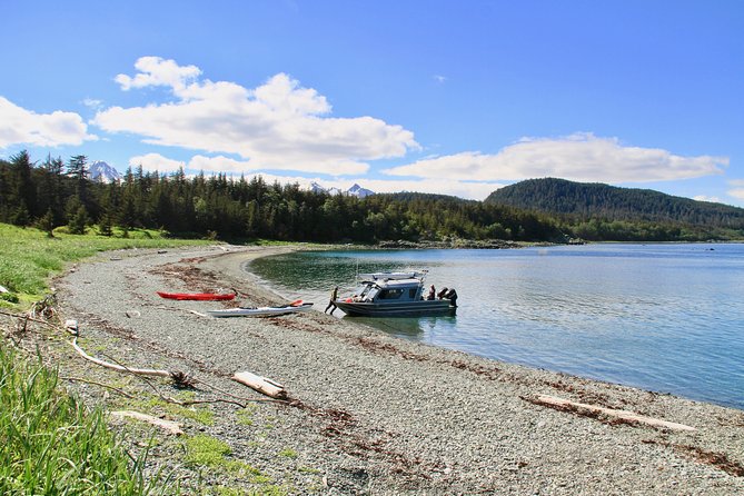 Paddle With Whales! Kayak Adventure - Pickup Points