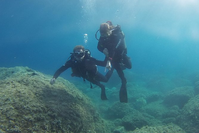 Padi Discover Scuba Diving - Pickup and Transportation Details