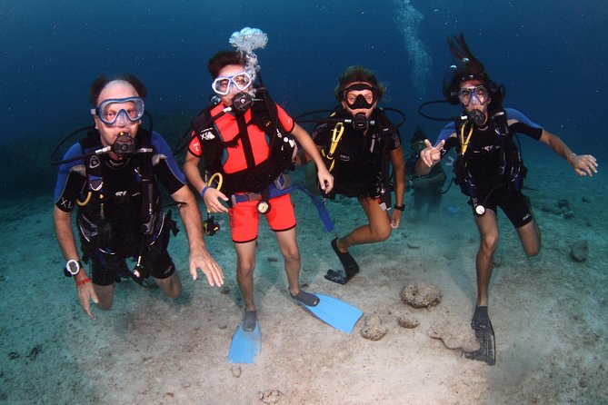 PADI Discover Scuba Diving and Day Pass in Freeport - Reviews and Ratings