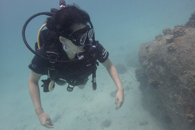 PADI Scuba Diver Course for Beginners Two Days One Night Accommodation Included - Accommodation Details