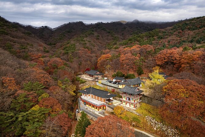 Palgongsan Natural Park Autumn Foliage One Day Tour From Busan - Highlights