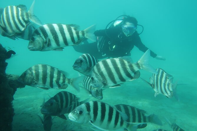 Palm Beach Private 1-Day Scuba Lesson  - West Palm Beach - Private Scuba Guide