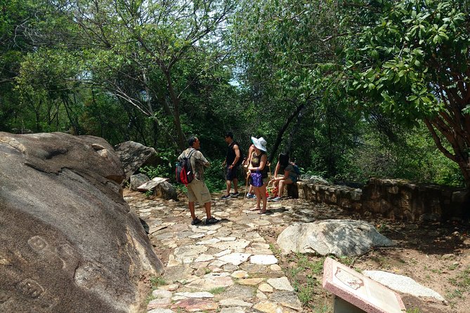 Palma Sola Petroglyphs Archaeological & City Market W/Lunch - Tour Details