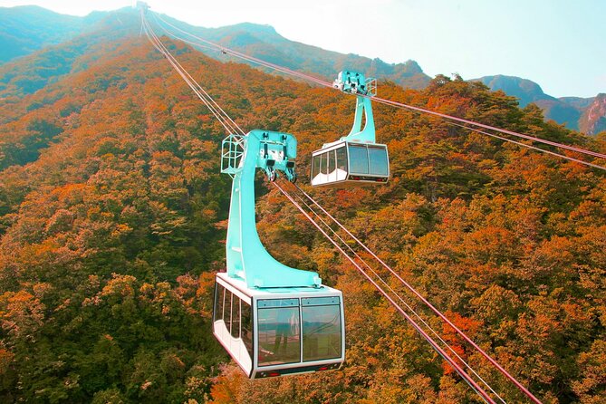 Panoramic Yeongnam Alps Gondola Autumn Foliage Tour From Busan - Tour Information