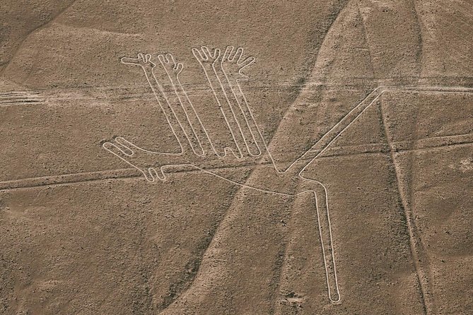 Paracas Shore Excursion: Nazca Lines Tour - Additional Information