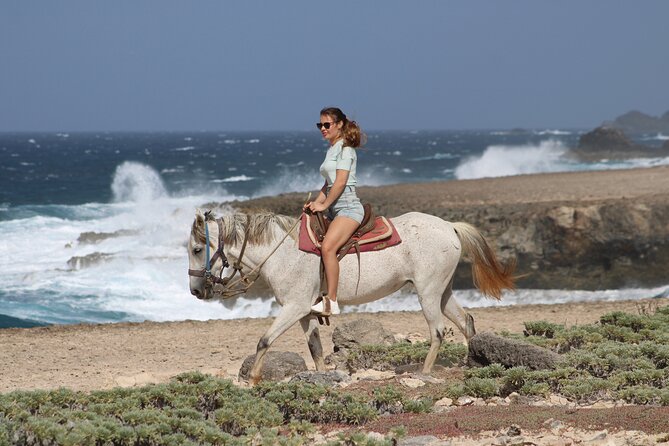 Paradera Small-Group North Coast Horseback Ride  - Aruba - Traveler Reviews and Photos