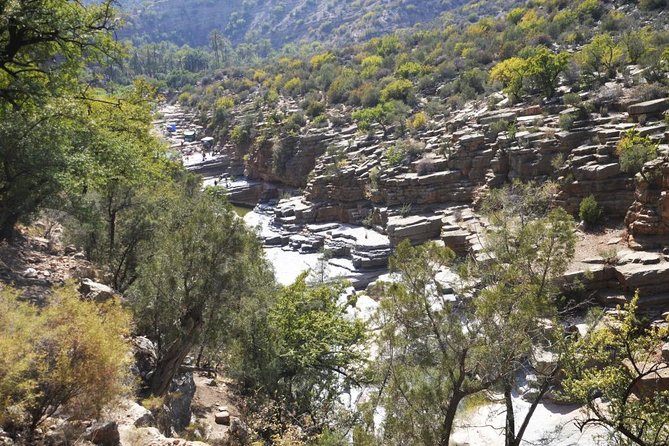 Paradise Valley Excursion - Swimming Experience in Paradise Valley