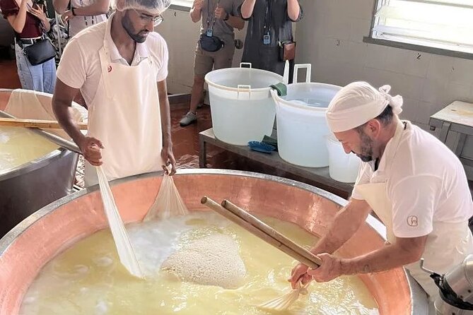 Parmigiano Cheese Factory Visit and Tasting - Cheese Making Process: From Cow to Cheese Wheel