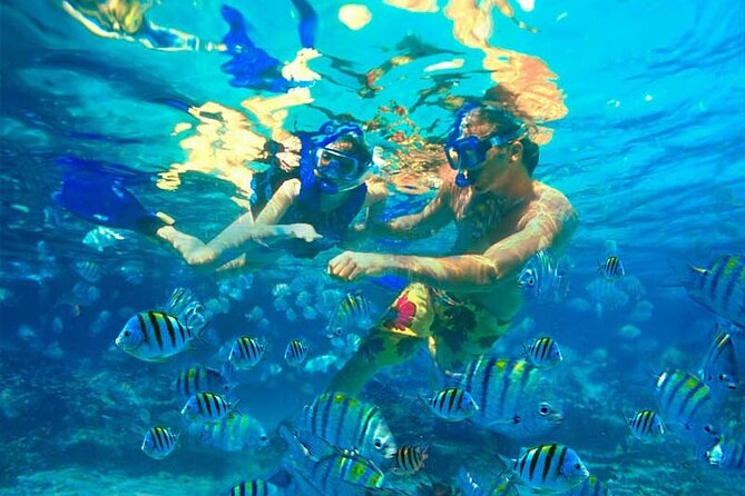 Party Boat / Catamaran Party In Punta Cana - Product Information and Pricing Details