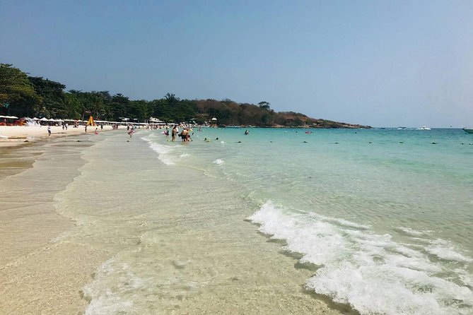Pattaya : Coral Island Tour by Speedboat With Indian Lunch & Pick up From Hotel - Traveler Reviews