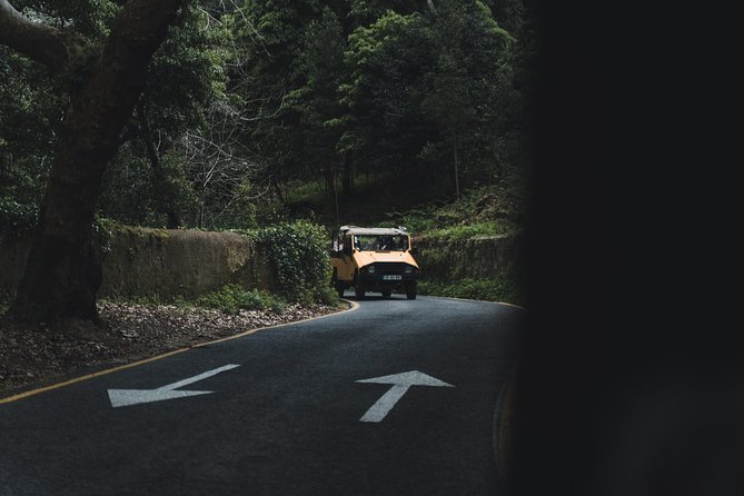 Pena Palace Jeep Safari - Reviews