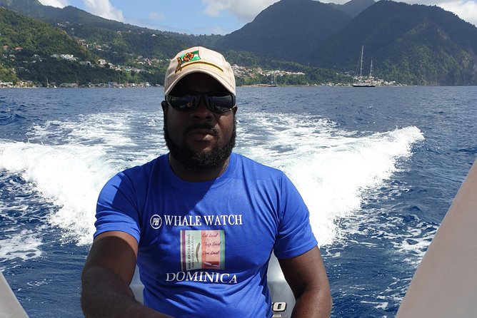 PH Whale Watch & Dolphin Cruise in Dominica - Overview and Pickup Details