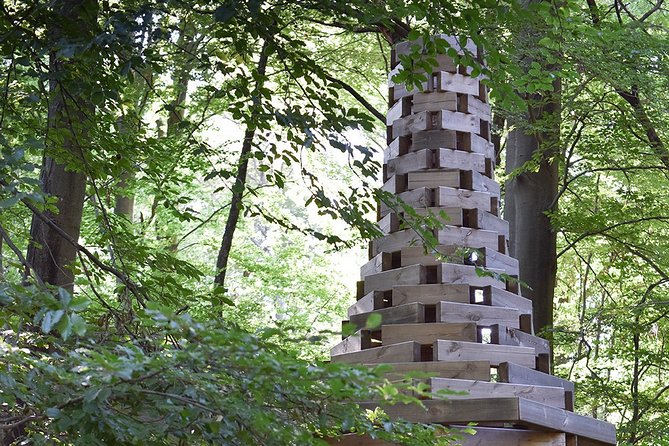 Photo Tour and Artworks in the Capriasca Redde Wood - Private and Accessible Tour