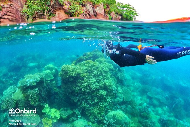 Phu Quoc Private Half-Day Snorkeling Adventure - Cancellation Policy and Refund Options