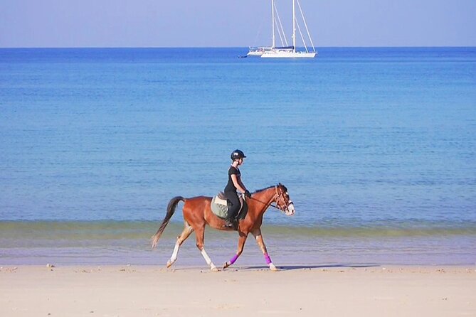 Phuket Beach and Horse Rides 1 Hour Experience - Accessibility and Transportation Options