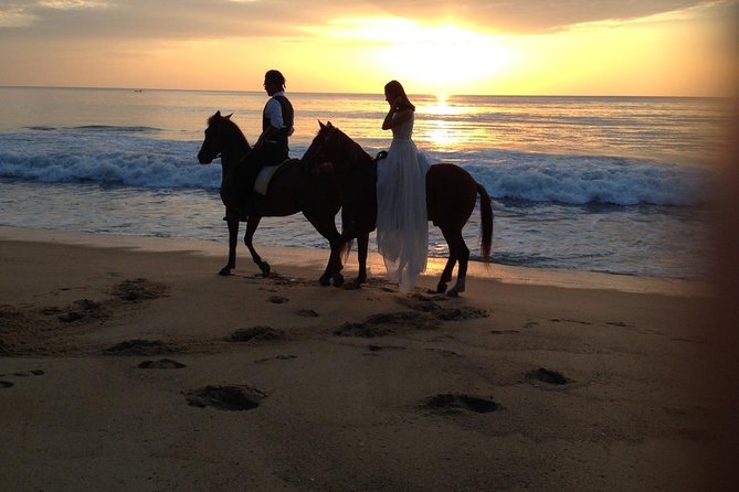 Phuket Horse Riding Club - Cancellation Policy