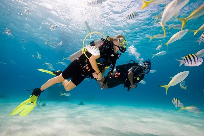 Phuket Scuba Diving and Snorkeling Offshore 2 Islands Full-Day by Speed Boat - Scuba Diving Experience