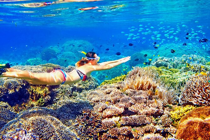 Phuket Similan Island Andaman Ocean Tour by Van and Speedboat - What to Bring