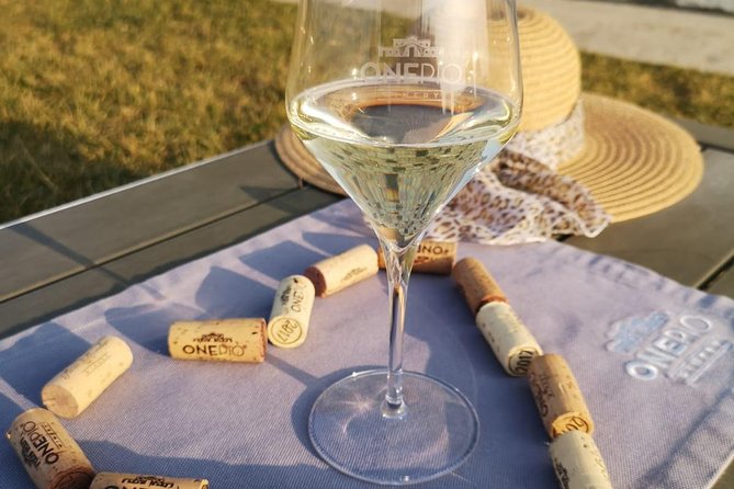 Picnic Wine Tasting at a Lugana Winery  - Brescia - Logistics and Accessibility