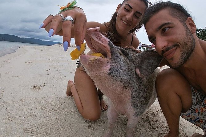 Pig Island Private Beach Full Day From Koh Samui - Thai Version of the Bahamas - Pig Island Beach Experience