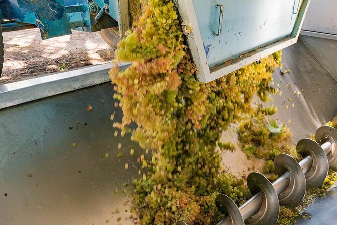 Pinot Noir & Pinot Wine Tour to Baden-Württemberg - Inclusions