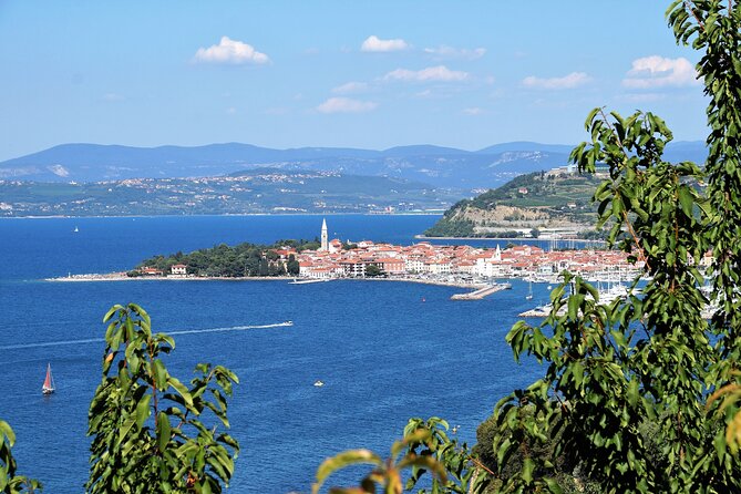 Piran & Panoramic Slovenian Coast From Trieste - Questions and Assistance