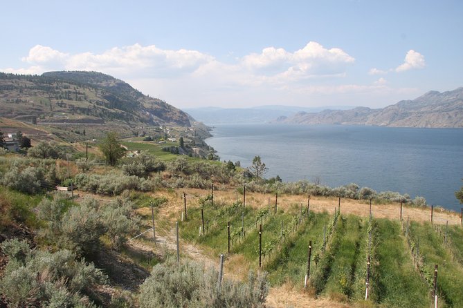 Pirvate Winery Tour of Okanagan Valley, British Columbia  - Kelowna & Okanagan Valley - Reviews and Feedback