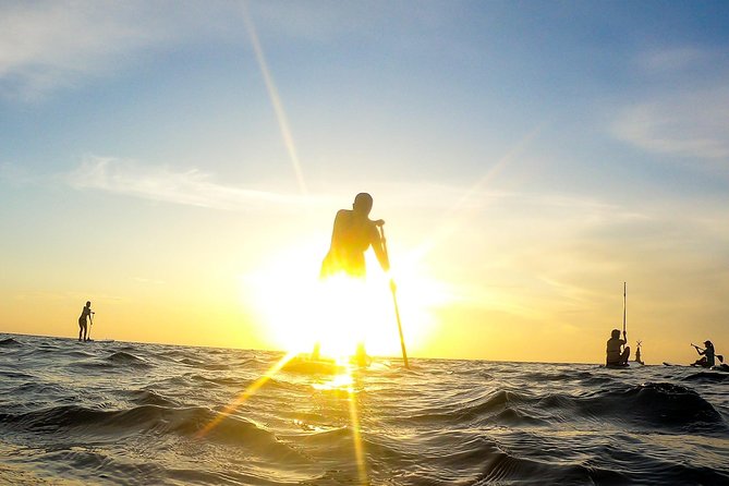 Playa Del Carmen Paddleboard: Sunrise Guided Paddle - Inclusions for the Paddleboard Experience