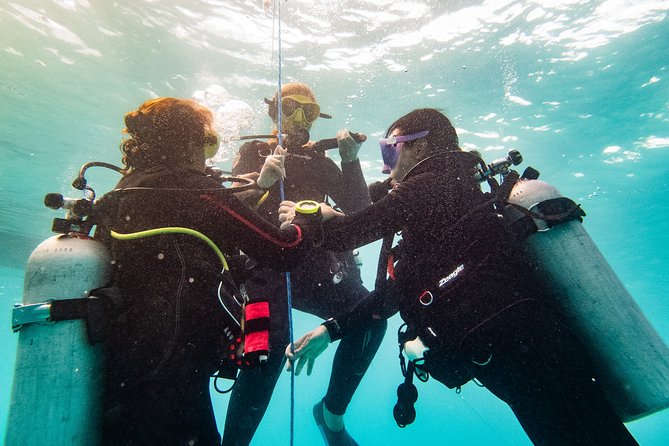 Playa Del Carmen: PADI Discover Scuba Diving With Instructor - Dive Shop Services
