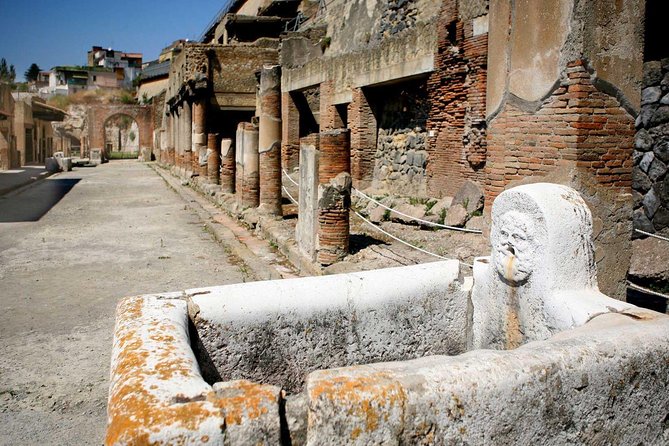 Pompeii: 2-Hour Walking Tour With Professional Guide - Inclusions and Meeting Information