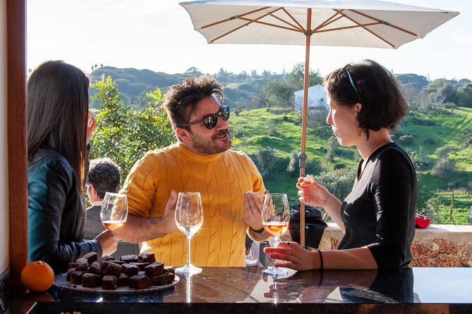 Porches Algarve Vineyard Tour and Wine Tasting Experience - Specific Review Recommendation
