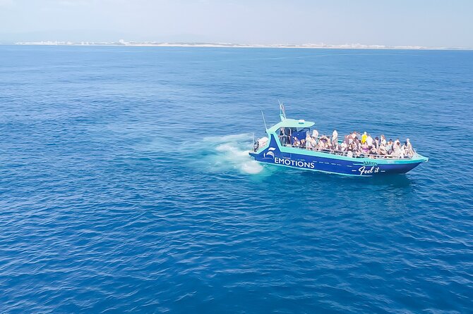 Portimão: World of Dolphins and Seabirds - Biologist on Board - A Close Encounter With Dolphins