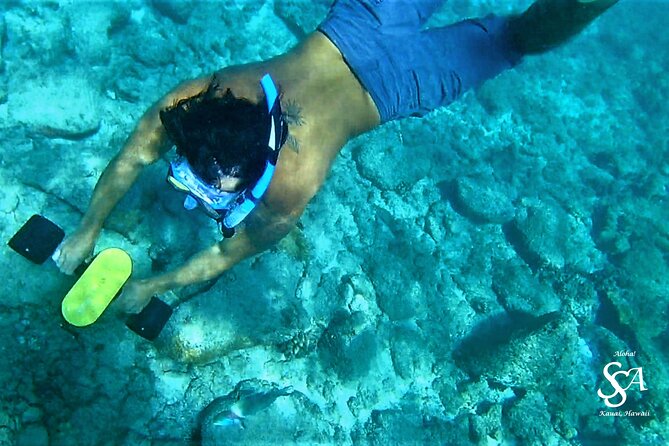 Princeville - Snorkeling Shore Excursion - Suitable for All Experience Levels